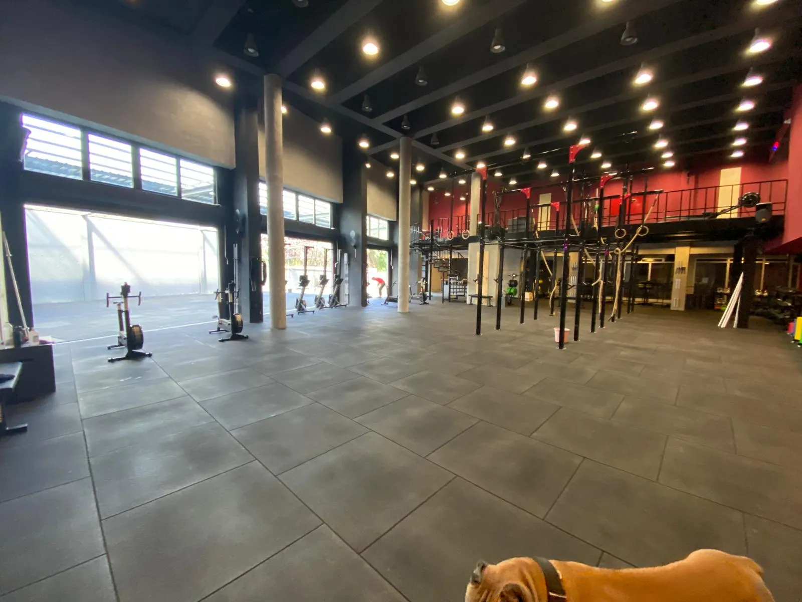 CrossFit Backstreet Oran geniş perspektif — panoramik antrenman alanı